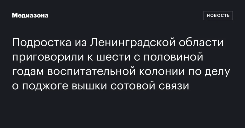Подростка из Ленинградской области осудили на 6,5 лет колонии за поджог вышки связи