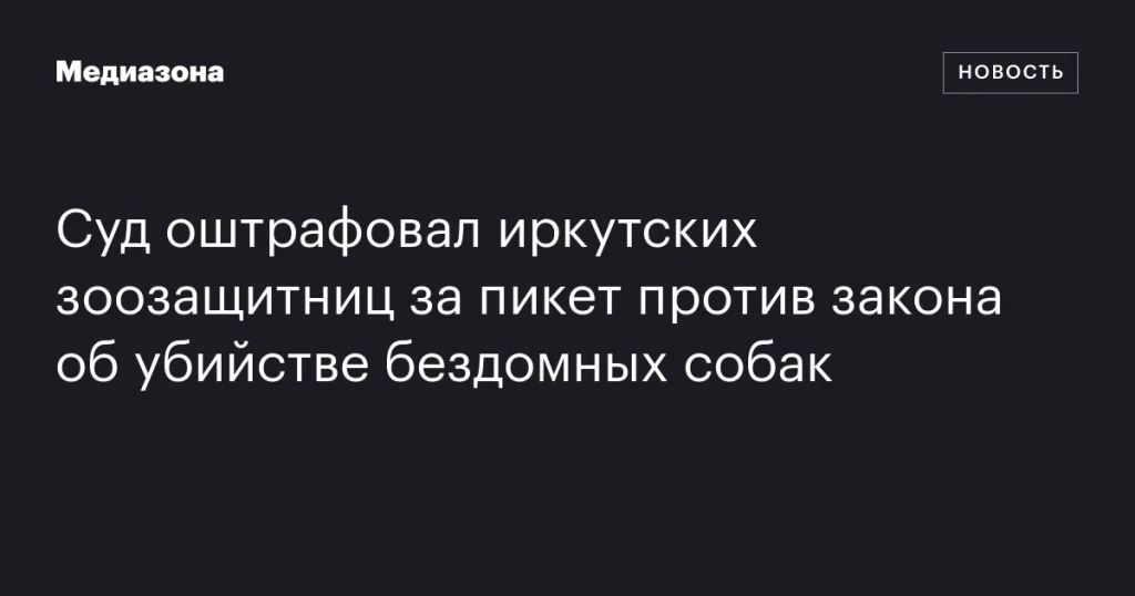 Суд наложил штраф на иркутских зоозащитниц за акцию протеста против закона об уничтожении бездомных собак