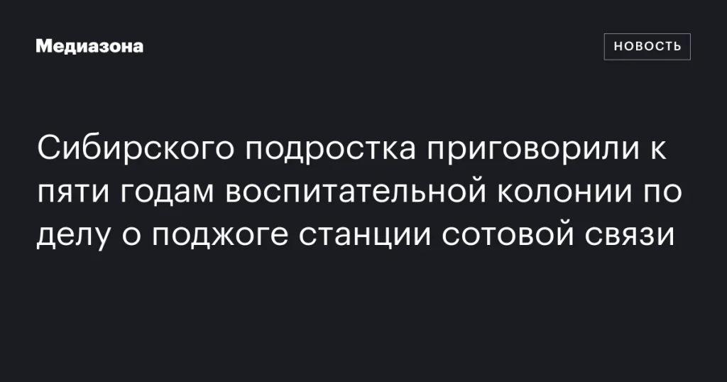 Сибирскому подростку назначили пять лет колонии за поджог станции связи