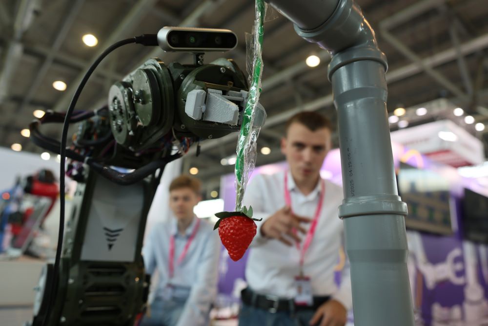На “Иннопроме” показали опытный образец робота-сборщика клубники На “Иннопроме” показали опытный образец робота-сборщика клубники