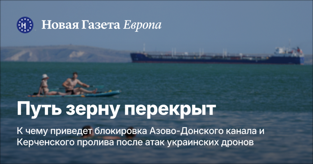 Блокировка Азово-Донского канала и Керченского пролива: последствия для зернового экспорта