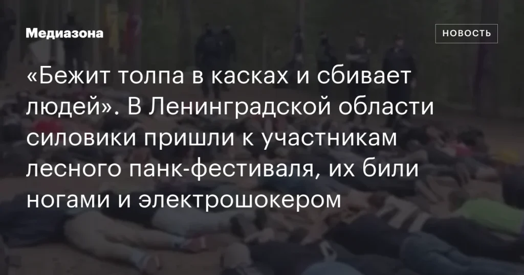 В Ленинградской области силовики разогнали лесной панк-фестиваль, применив силу к участникам